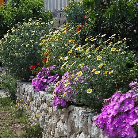Saplunara 4907a Babino Polje