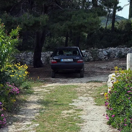 Daire Saplunara 4907a *